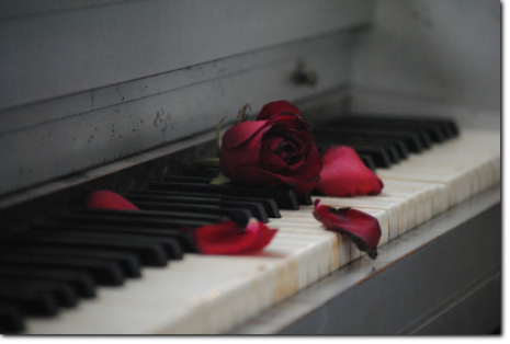 Hochzeitsband  Piano